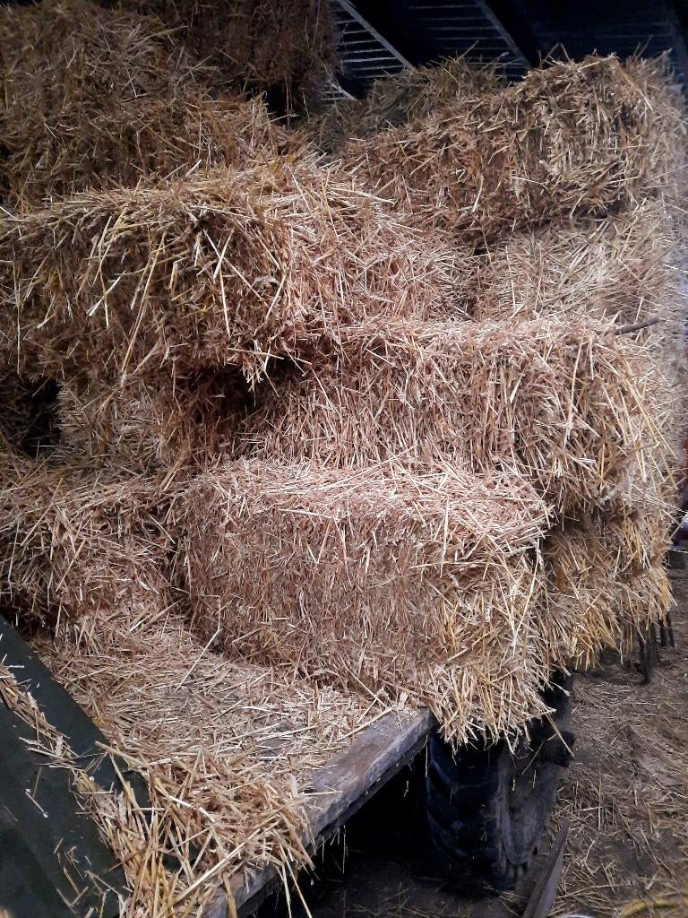 Stroo en hooi te koop, Dieren en Toebehoren, Ophalen, Vee