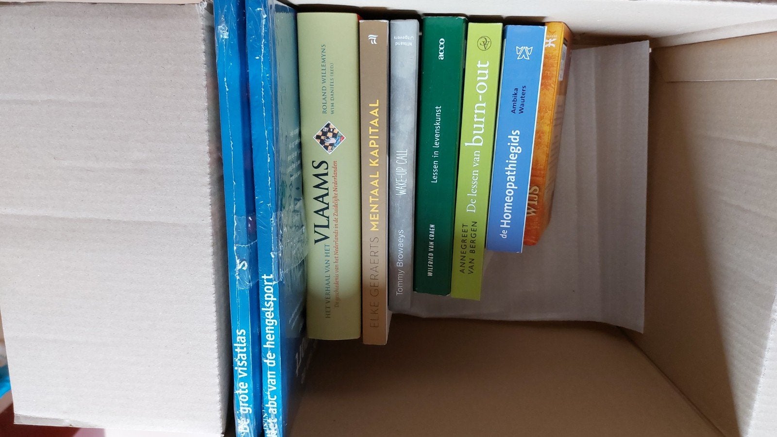lot boeiende boeken in goede staat voor titels zie foto, Boeken, Ophalen