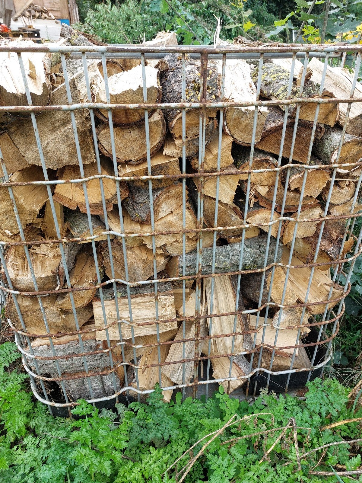 droog brandhout Els, wilg/populier, 3 tot 6 m³, Ophalen, Elzenhout