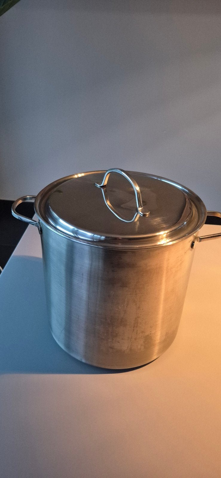 inox kook/soeppot gescikt voor alle vuren ook inductie, Huis en Inrichting, Ophalen, Zo goed als nieuw, Inox, Overige typen