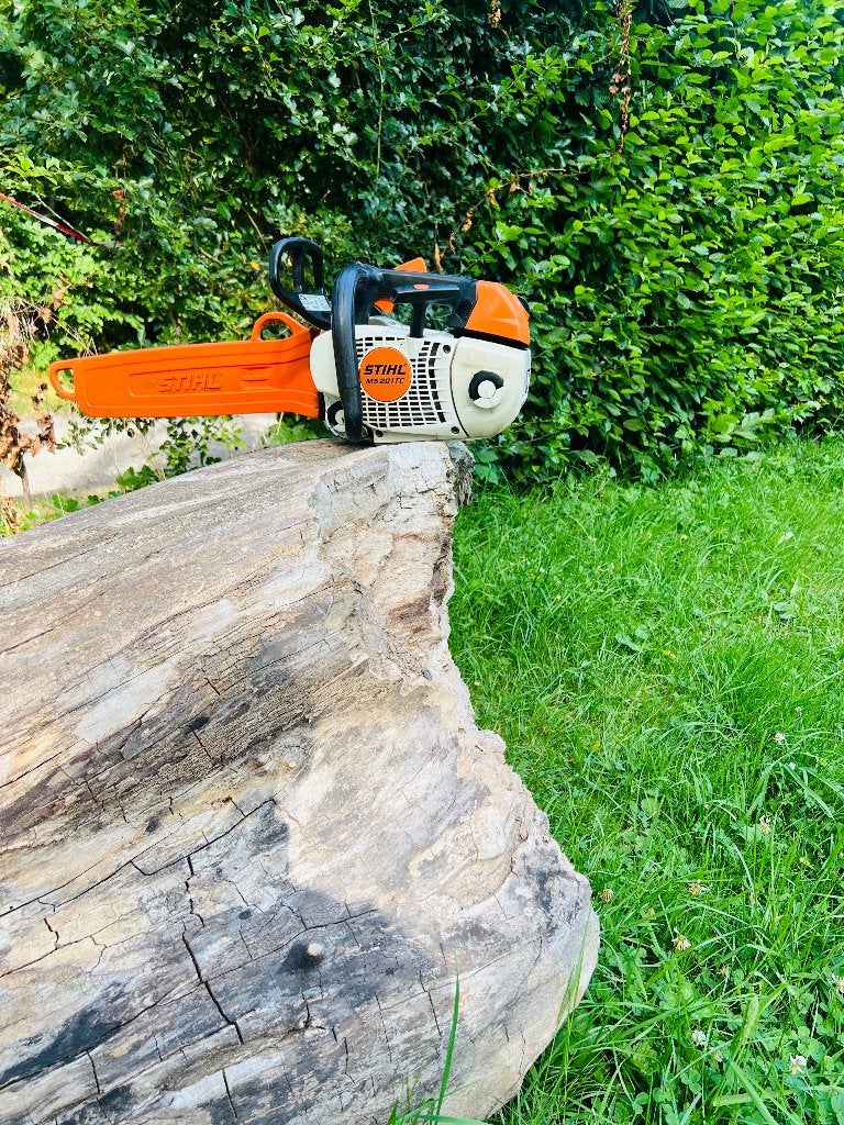 Élagueuse tronçonneuse Sthil MS 201 TC professionnel, Stihl, Tronçonneuse, 1200 watts ou plus, 30 à 70 mm