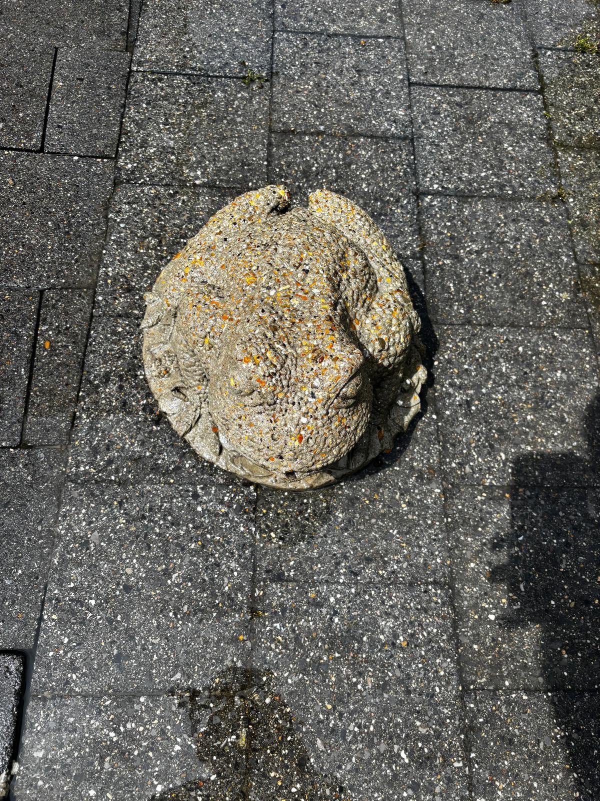 2 vijverschalen en spuitkikker, Tuin en Terras, Ophalen, Zo goed als nieuw