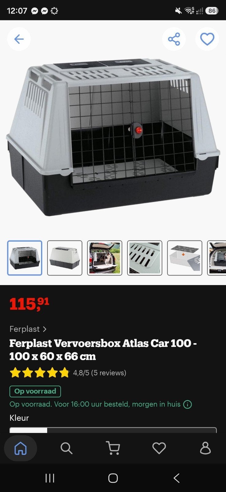 Honden bench, Dieren en Toebehoren, Hondenbenches, Ophalen, Gebruikt