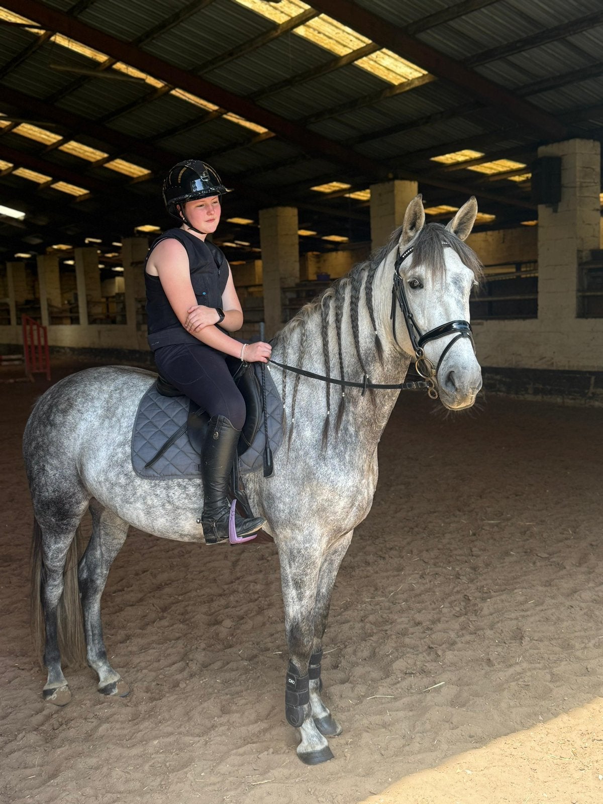 PRE 7 jarige charmante schimmel merrie, Jument, 160 à 165 cm, Avec pedigree, 7 à 10 ans