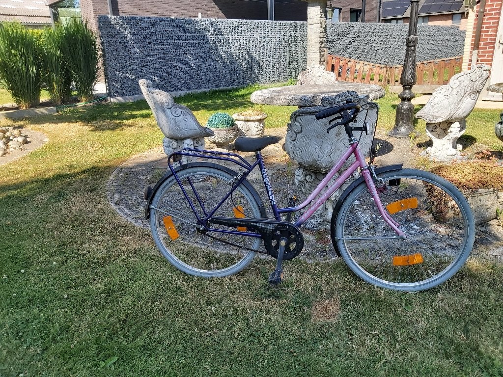 meisjesfiets, Ophalen, Gebruikt, Velgrem, Handrem