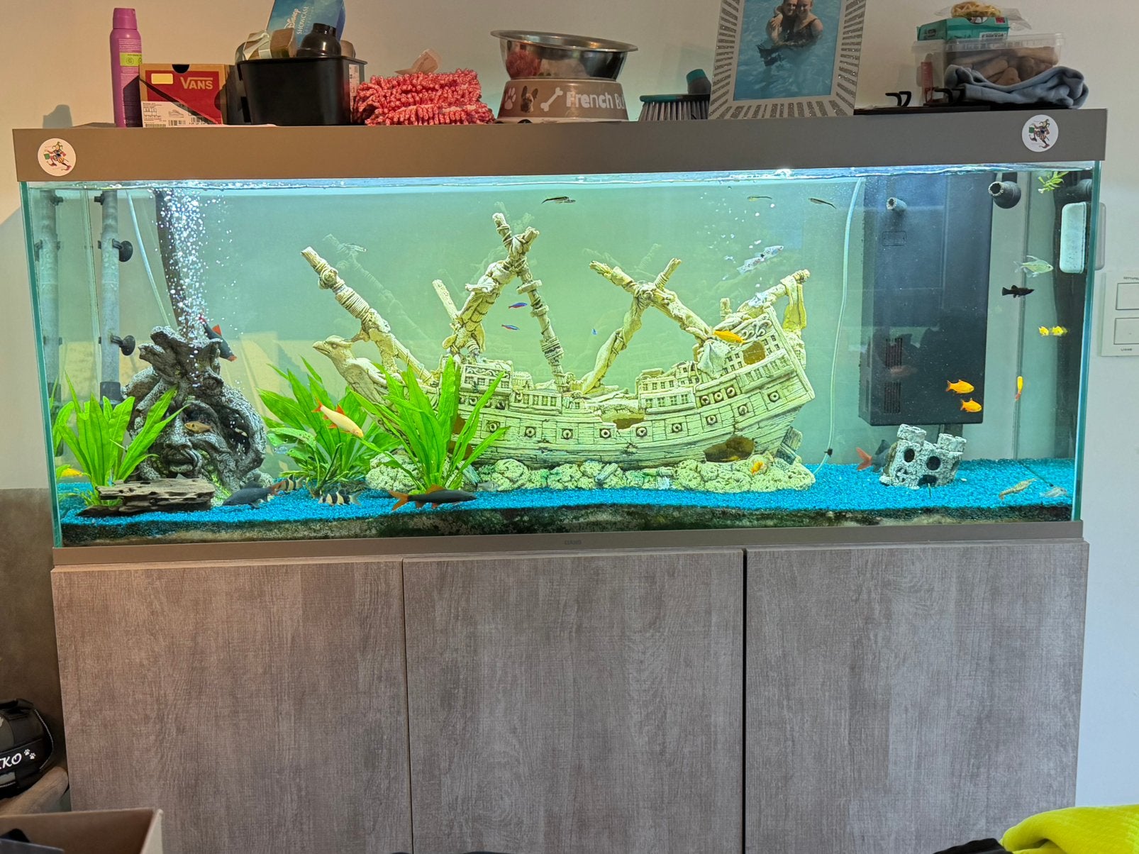 Aquarium te koop, Enlèvement, Comme neuf