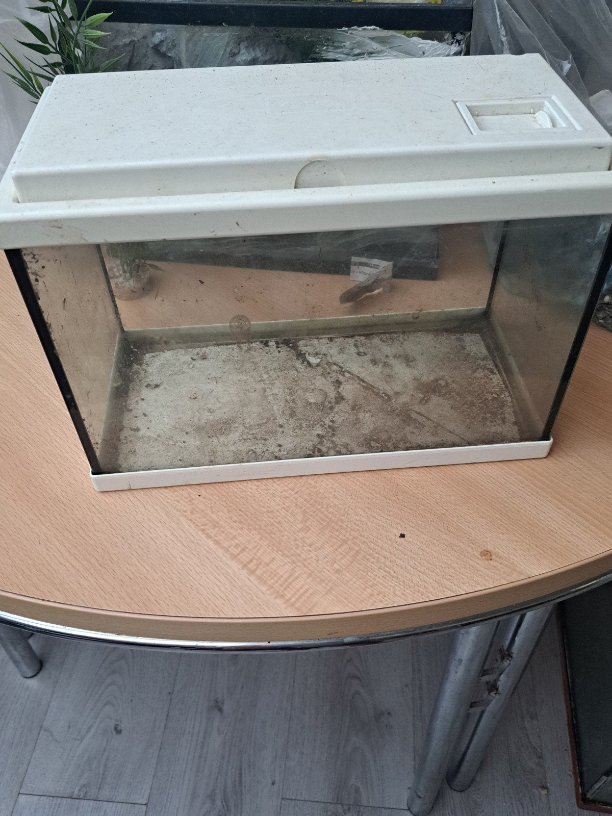 Aquarium Klein, Ophalen