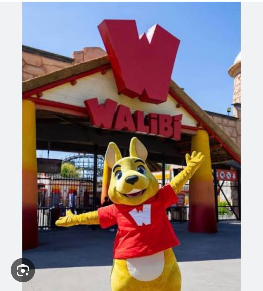 Ticket voor walibi, Tickets & Billets