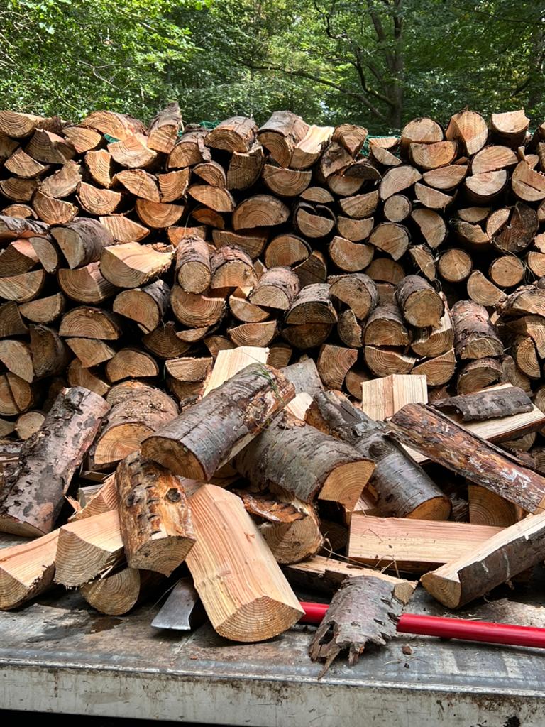 Bois de chauffage, Enlèvement ou Envoi