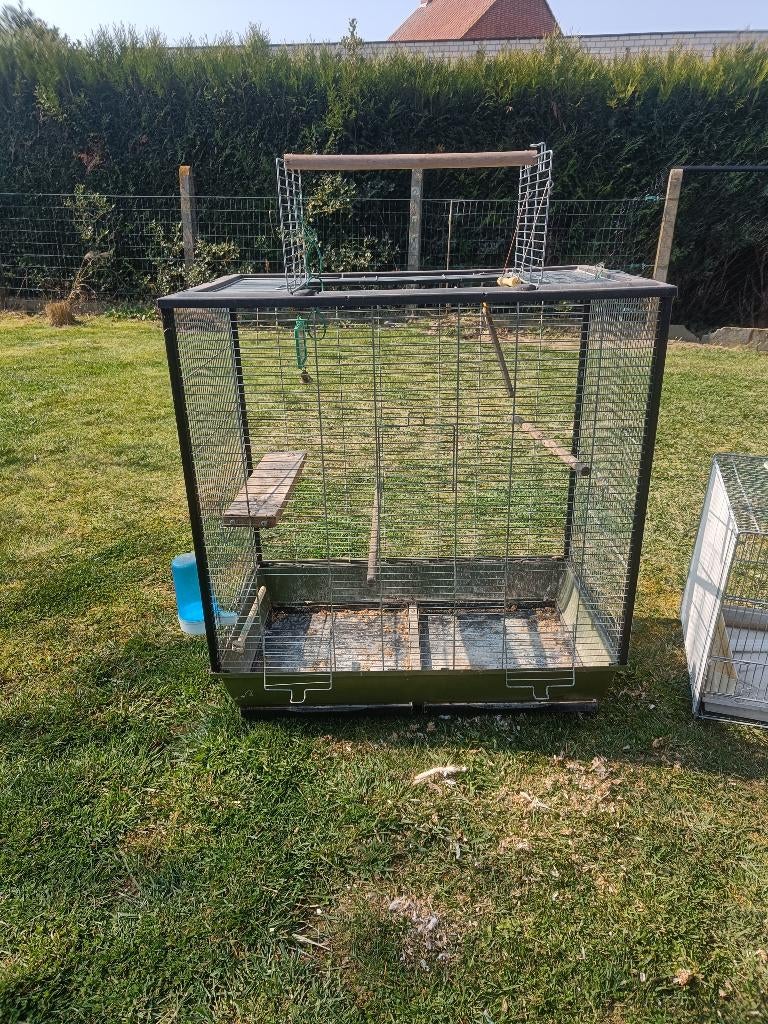 Papegaai kooi, Enlèvement, Comme neuf, Cage à oiseaux