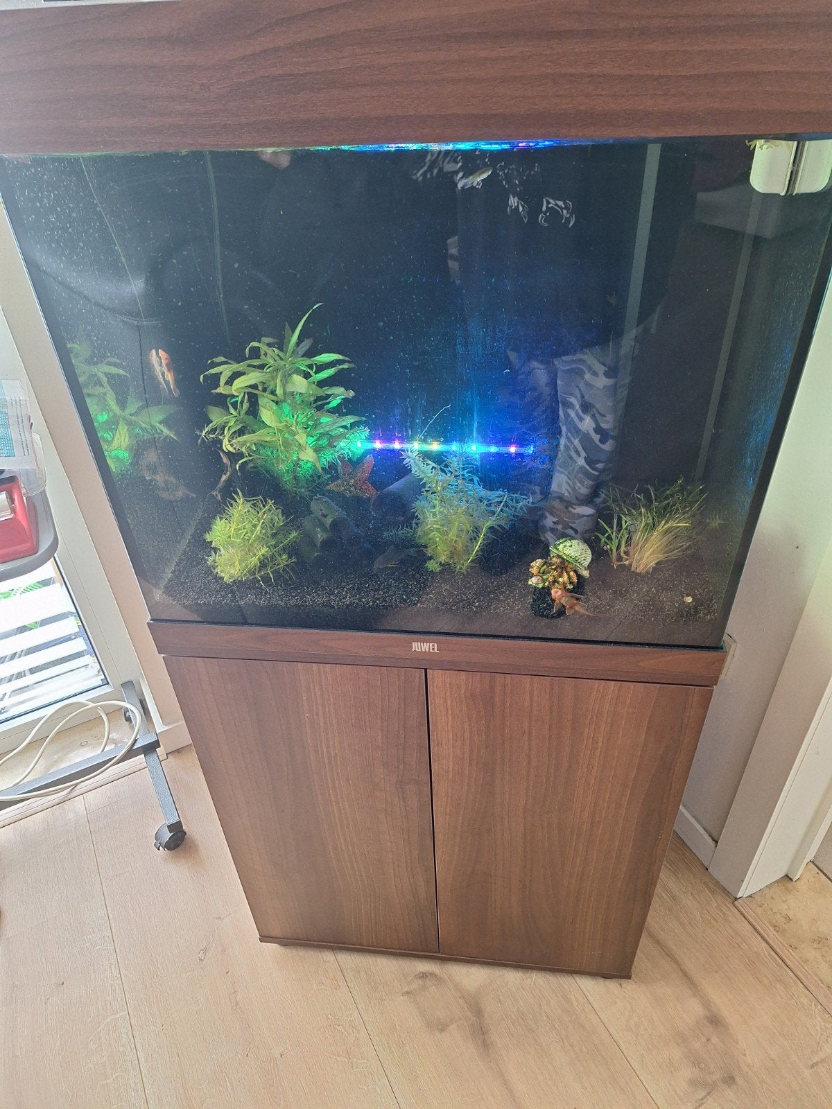 Aqarium 120l juwel, Animaux & Accessoires, Enlèvement ou Envoi, Juwel