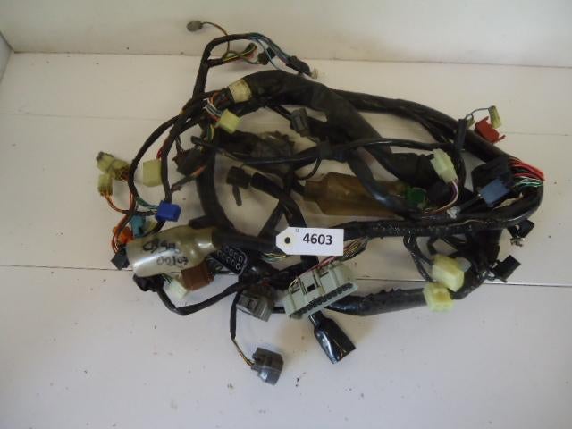 CB900F 2002 - 2007 Honda Kabelboom Kabelboom hoofd D1-16731