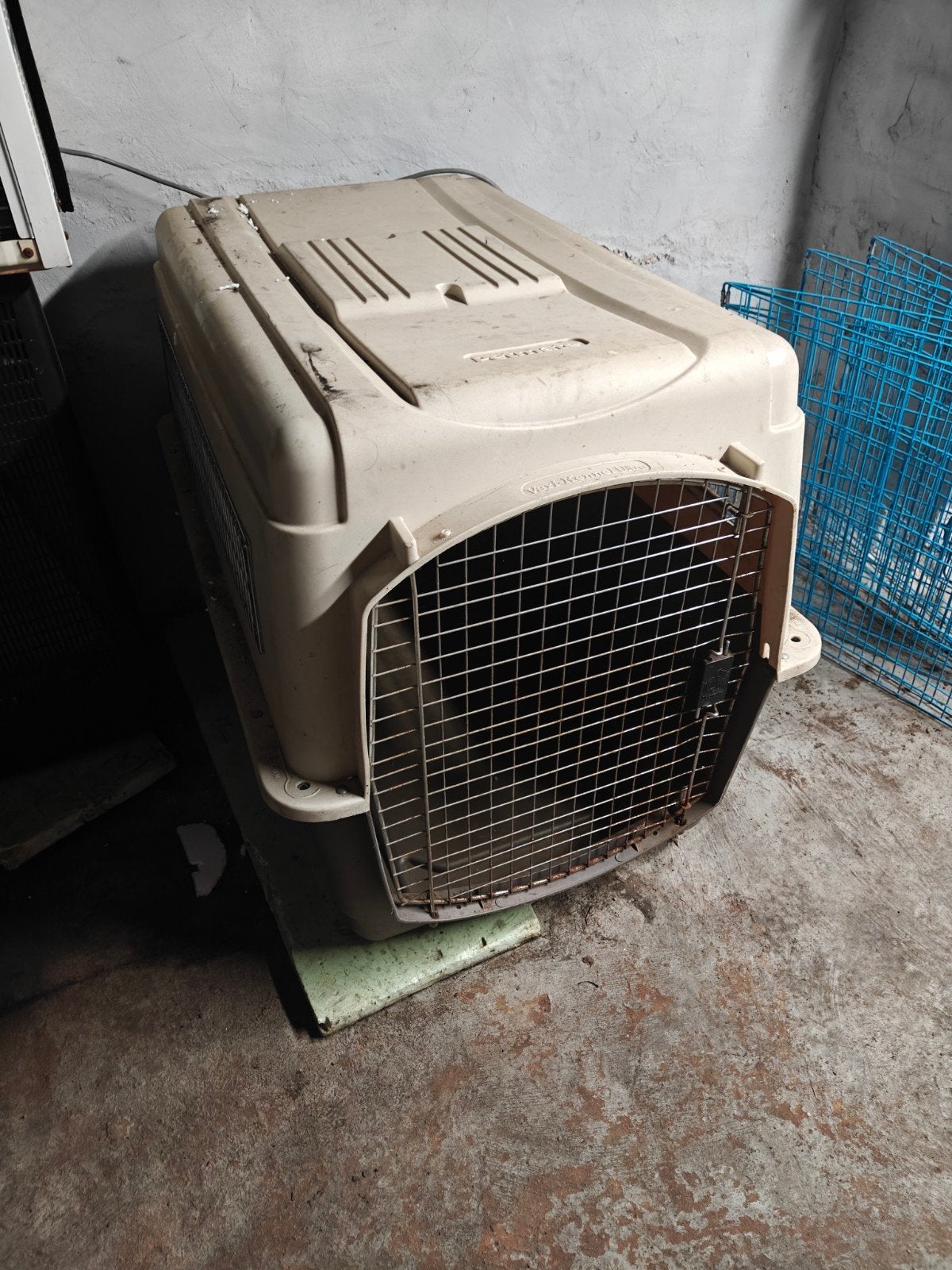 Varikennel Groot voor Duitse Herder, Dieren en Toebehoren, Ophalen