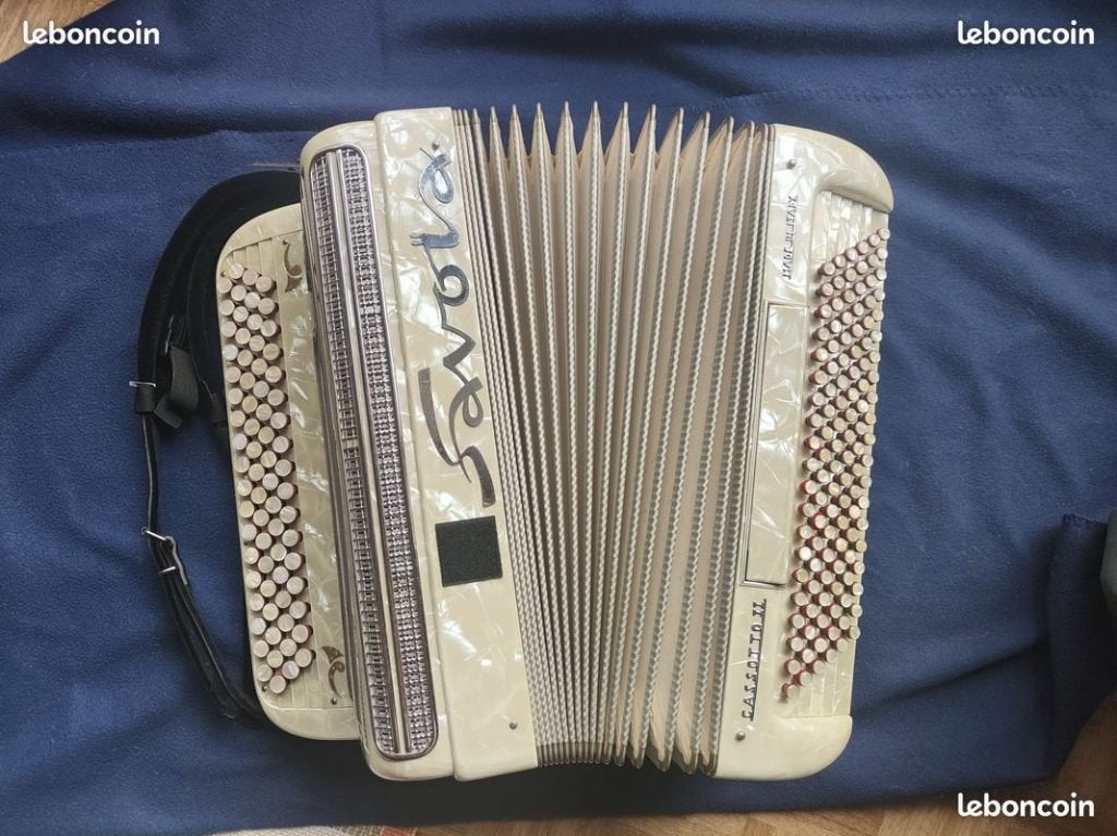 Accordéon, Avec valise, Comme neuf, Enlèvement, 120 basses