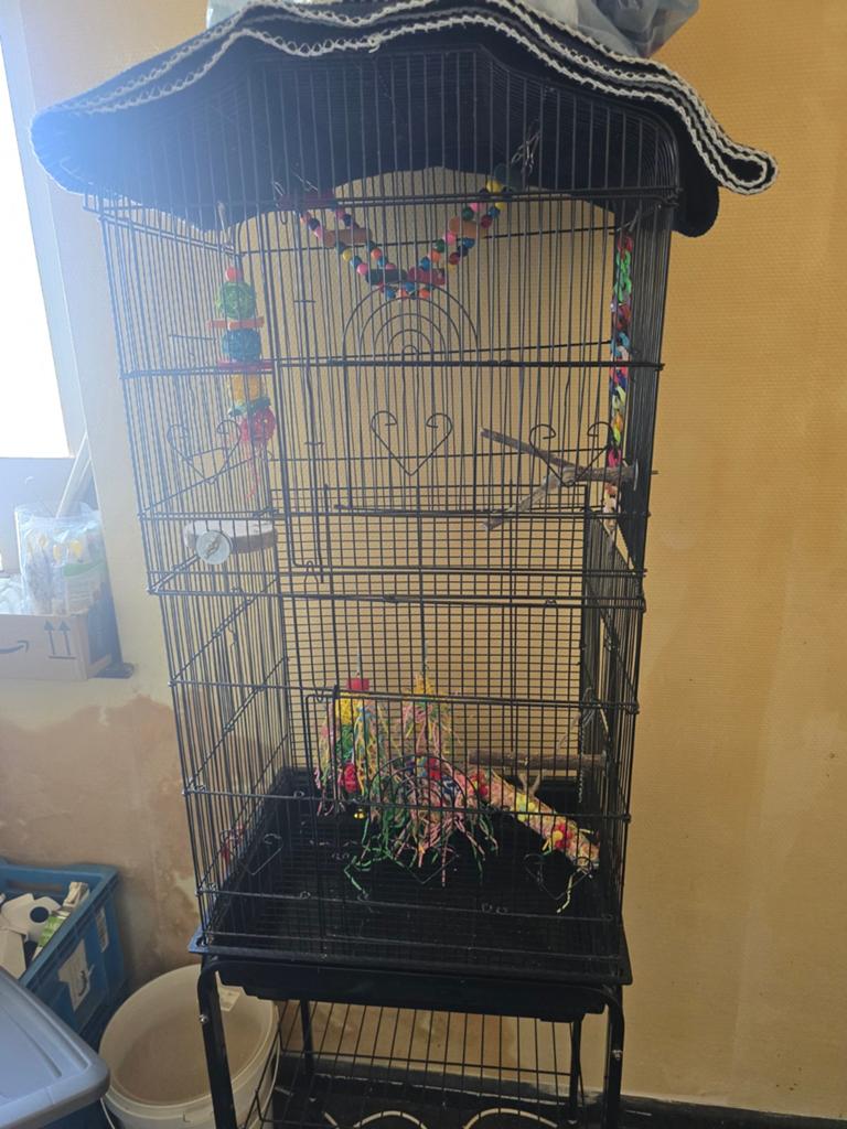 Vogel kooi, Dieren en Toebehoren, Vogels | Hokken en Kooien, Ophalen