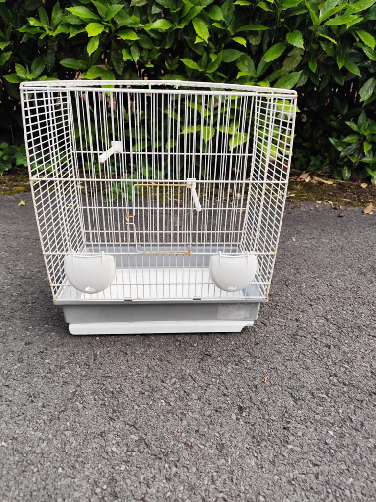 Cage pour oiseaux à saisir, Animaux & Accessoires