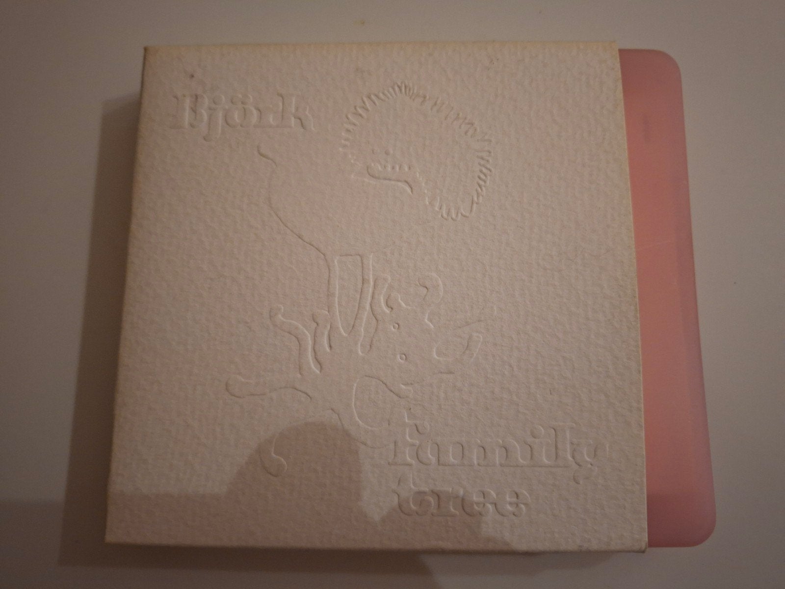 BJORK CD BOX FAMILY TREE 6CDS, Cd's en Dvd's, Boxset, Ophalen of Verzenden, Zo goed als nieuw, Indie