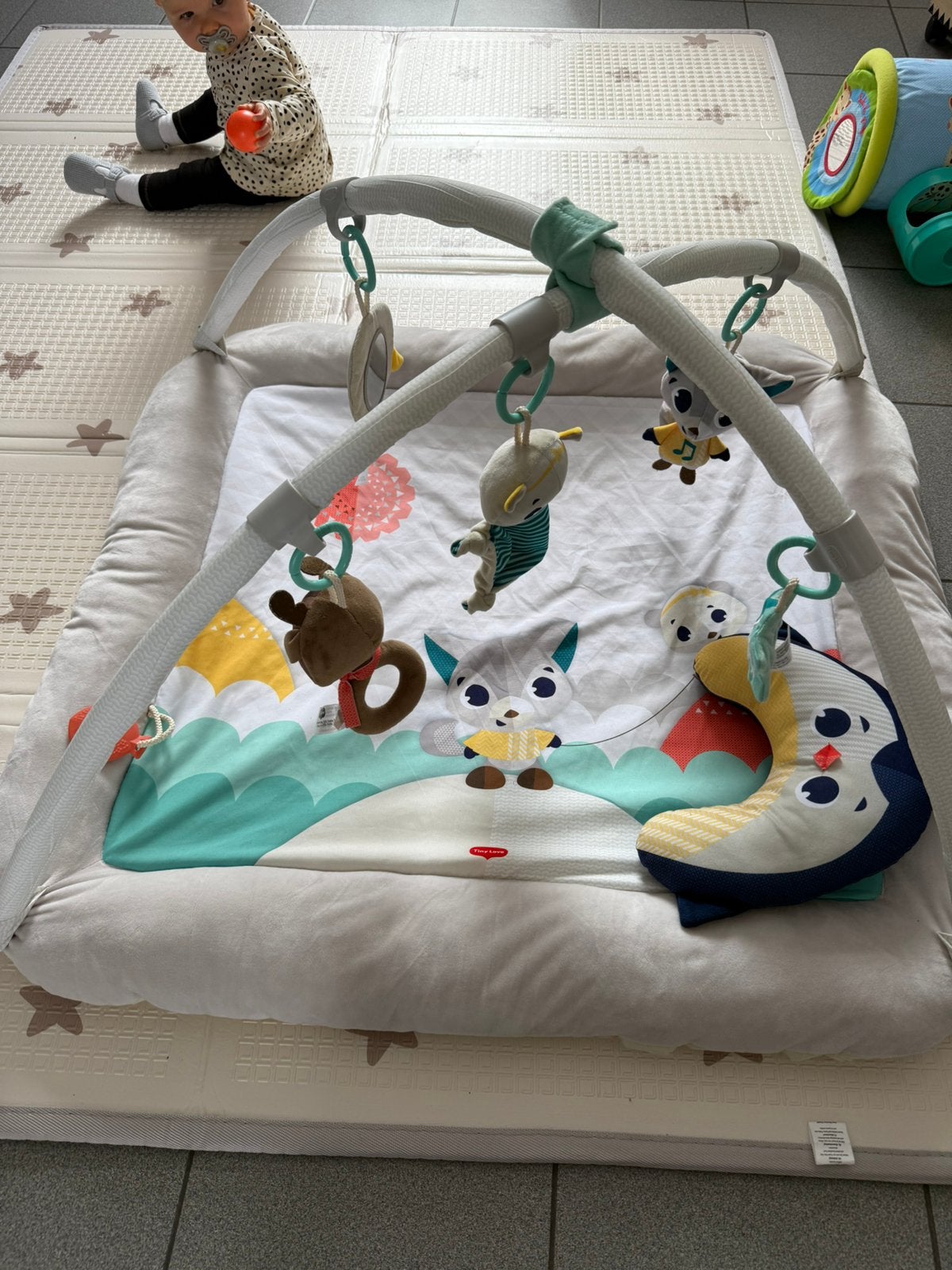 Tapis d’éveil, Enlèvement, Utilisé