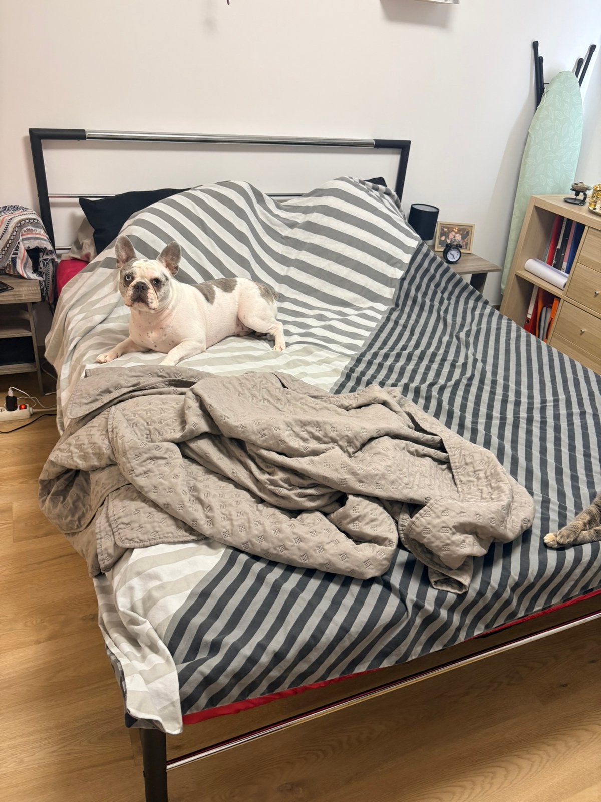 Lit 2 personnes 160cm, Maison & Meubles, Chambre à coucher | Lits, Enlèvement, Utilisé, Métal, Deux personnes