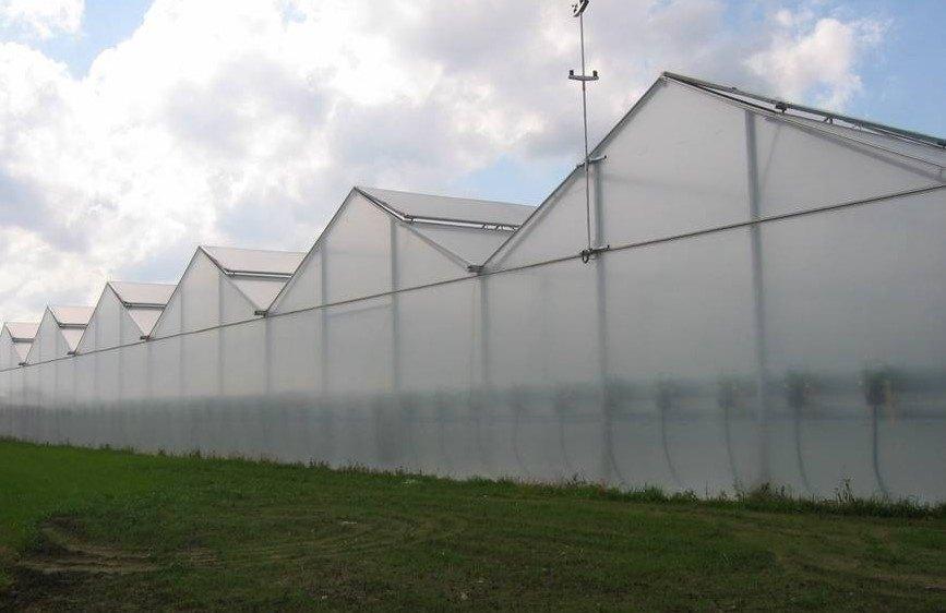 tuinbouwbedrijf te huur, Zakelijke goederen, Huur, Overige bestemmingen