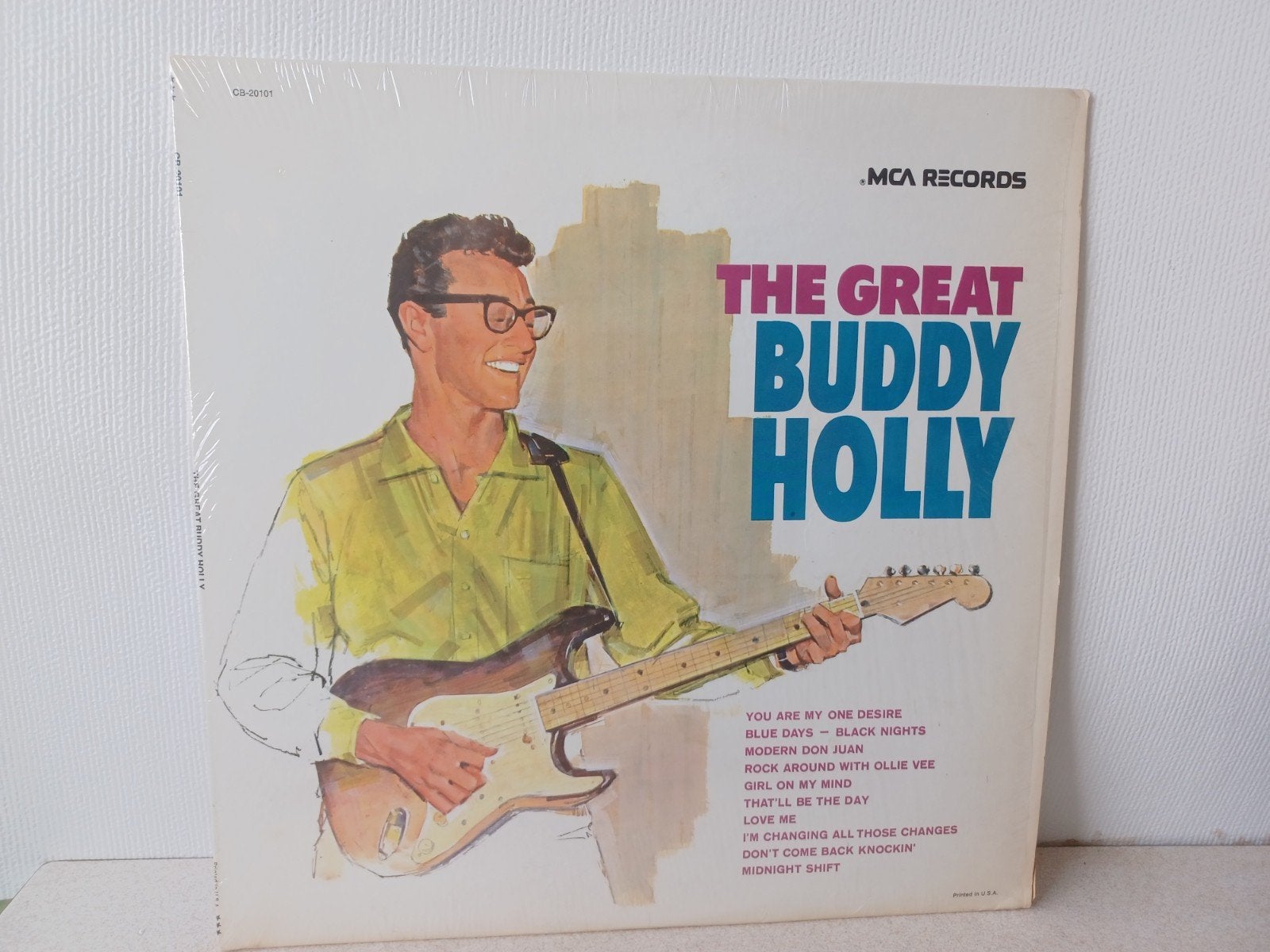 Rock & Roll Lp USA  Buddy Holly, Ophalen of Verzenden, LP