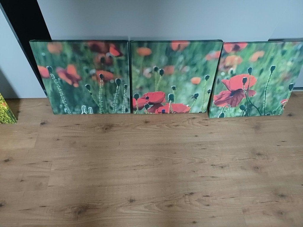 Canvas foto 40-40 cm Nieuw!, Huis en Inrichting, Ophalen, Nieuw