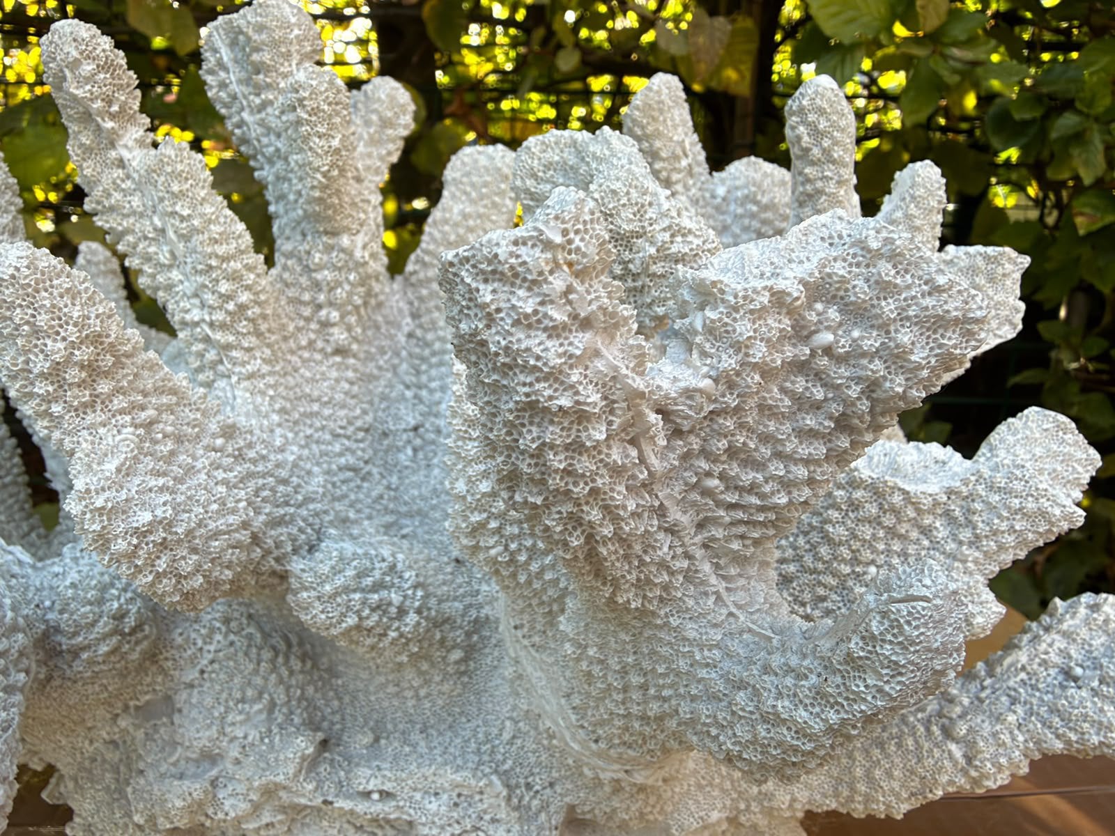 Décoration corail, Moderne, Utilisé, Autres matériaux, Enlèvement
