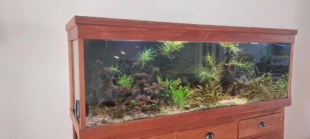 Mooie aquarium te koop in de afmetingen 18060x50 cm, Ophalen, Eheim