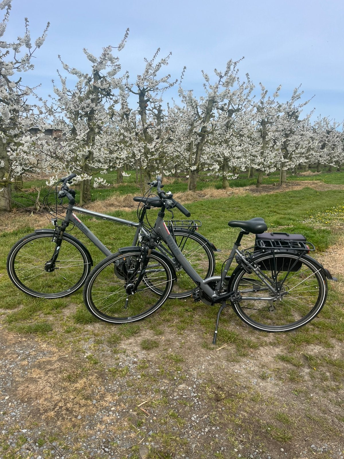 Dames en heren fiets van het merk Ketler, Gebruikt, Velgrem, Versnellingen, Ophalen