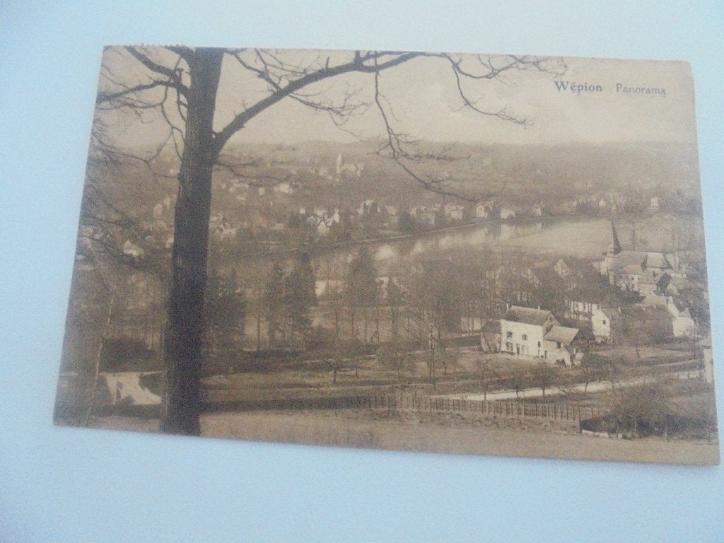 wepion -10 postkaarten, Enlèvement ou Envoi, 1920 à 1940, Affranchie, Namur