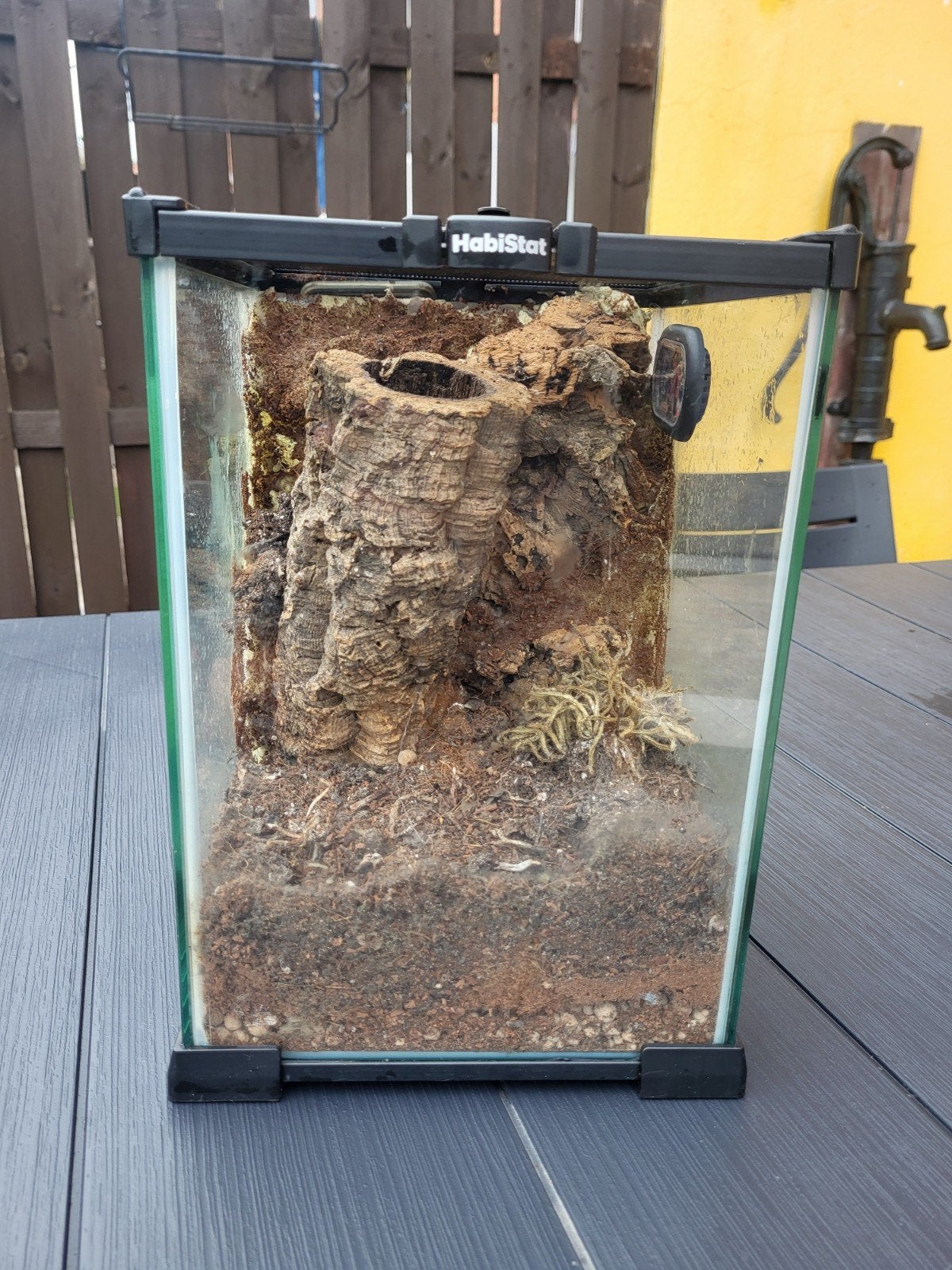 terrarium, Animaux & Accessoires, Enlèvement