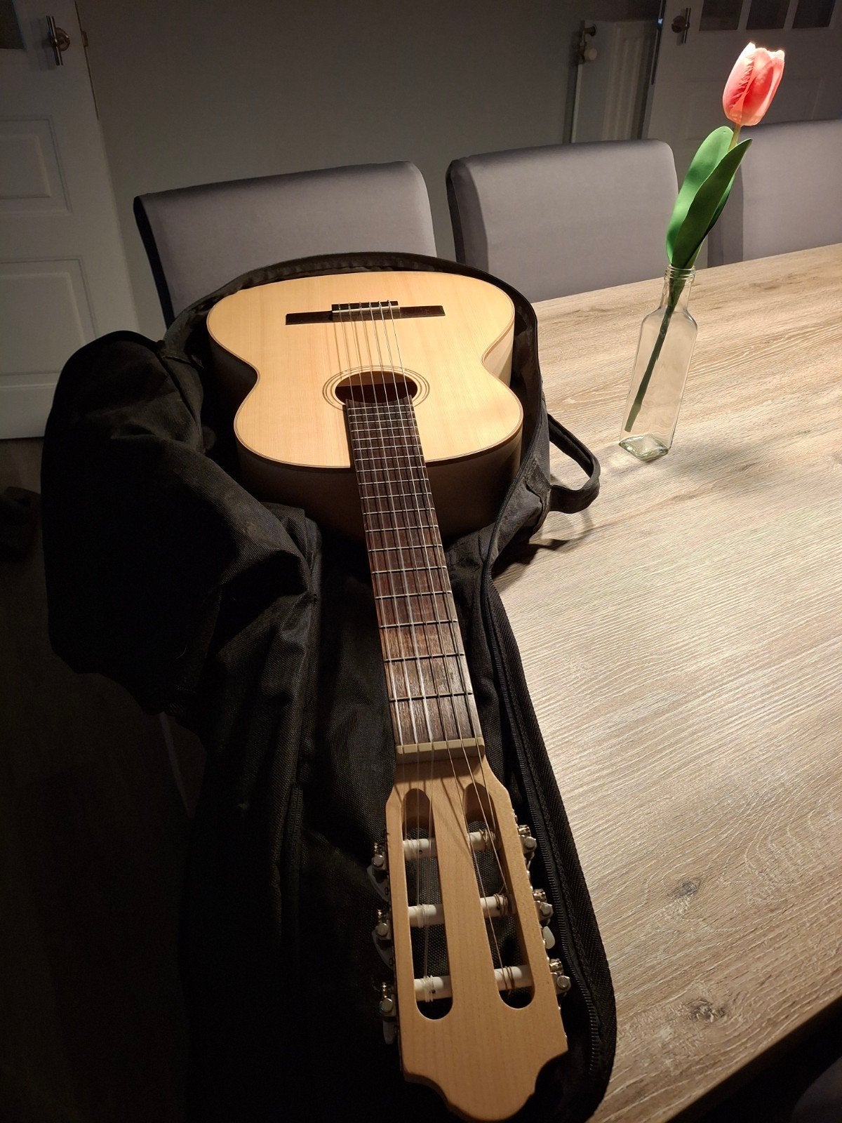 nieuwe gitaar, Muziek en Instrumenten, Snaarinstrumenten | Gitaren | Bas, Ophalen, Nieuw, 6-snarig