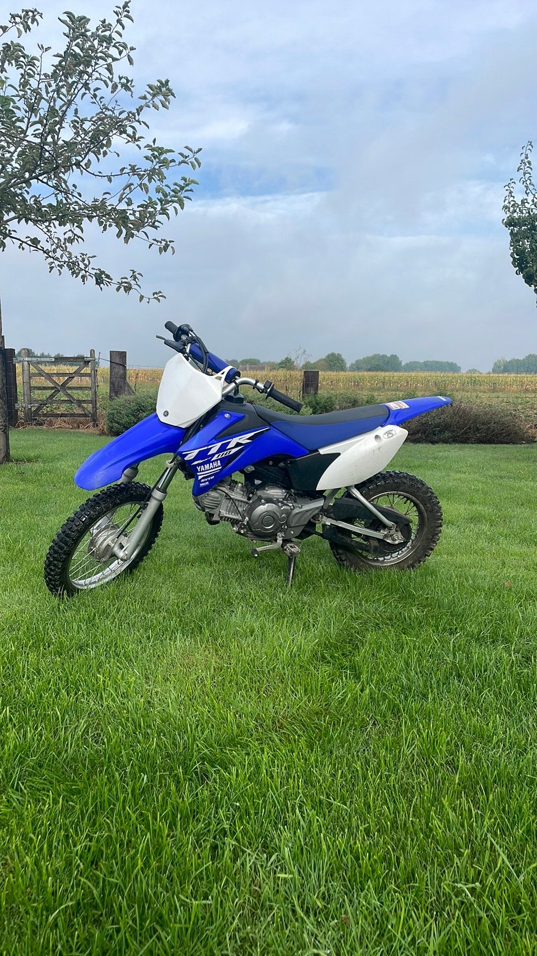 Yamaha TTR 110 cc, Fietsen en Brommers, Brommers | Crossbrommers, Ophalen, Yamaha, Zo goed als nieuw, 110 cc