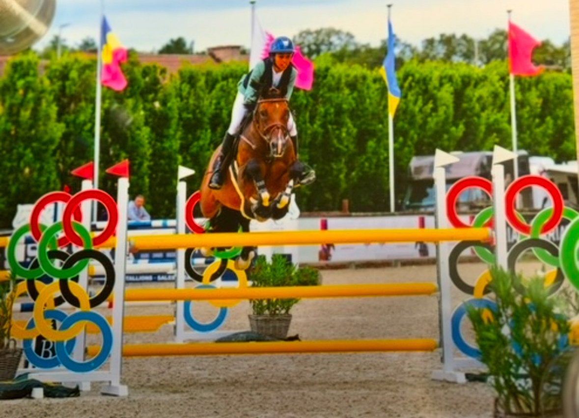 Sportpaard te koop, Dieren en Toebehoren, Paarden, Springpaard, Ruin, 160 tot 165 cm, 11 jaar of ouder