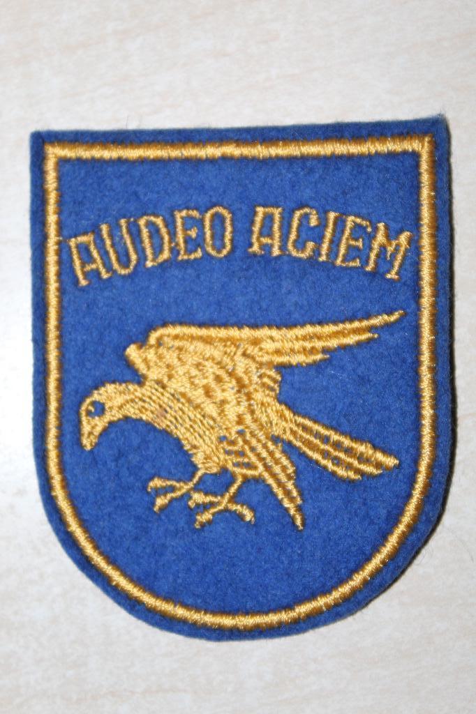 luchtmacht badge 1ste wing, Enlèvement ou Envoi, Armée de l'air, Emblème ou Badge