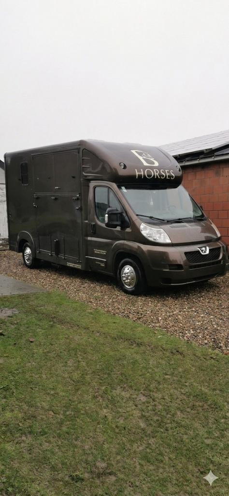 Paarden vrachtwagen, rijbewijs B, Peugeot Boxer, Dieren en Toebehoren, Paarden en Pony's | Trailers en Aanhangwagens, Ophalen