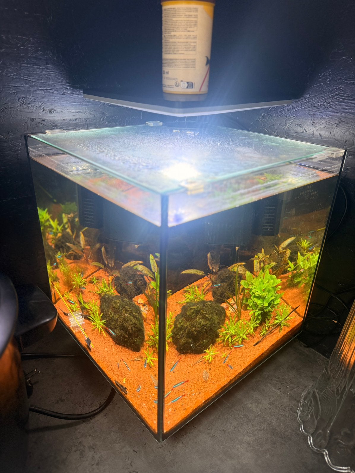 Petit aquarium équiper, Animaux & Accessoires, Poissons | Aquariums & Accessoires, Enlèvement, Pompe, Comme neuf