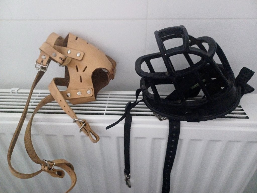 2 muilkorven, grote honden, Ophalen
