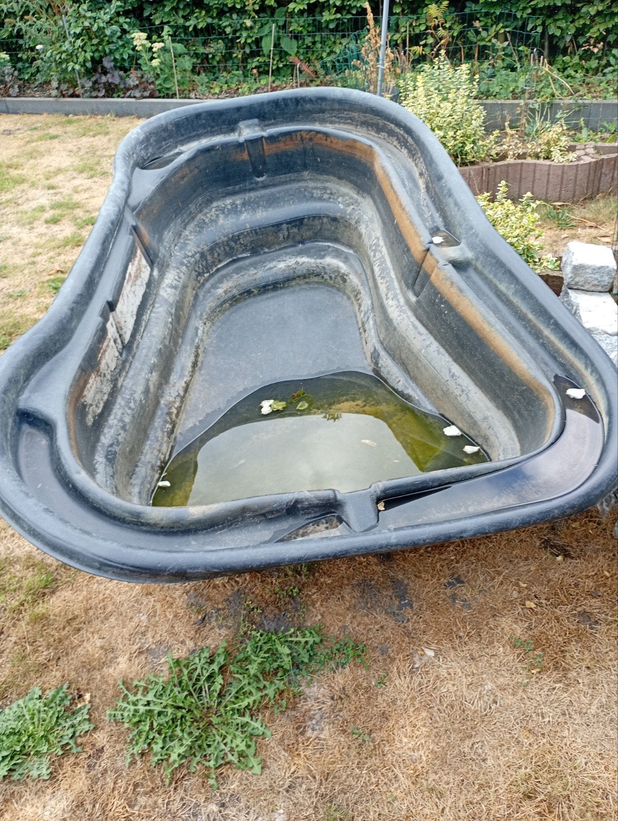 vijver, Tuin en Terras, Vijvers, Ophalen of Verzenden