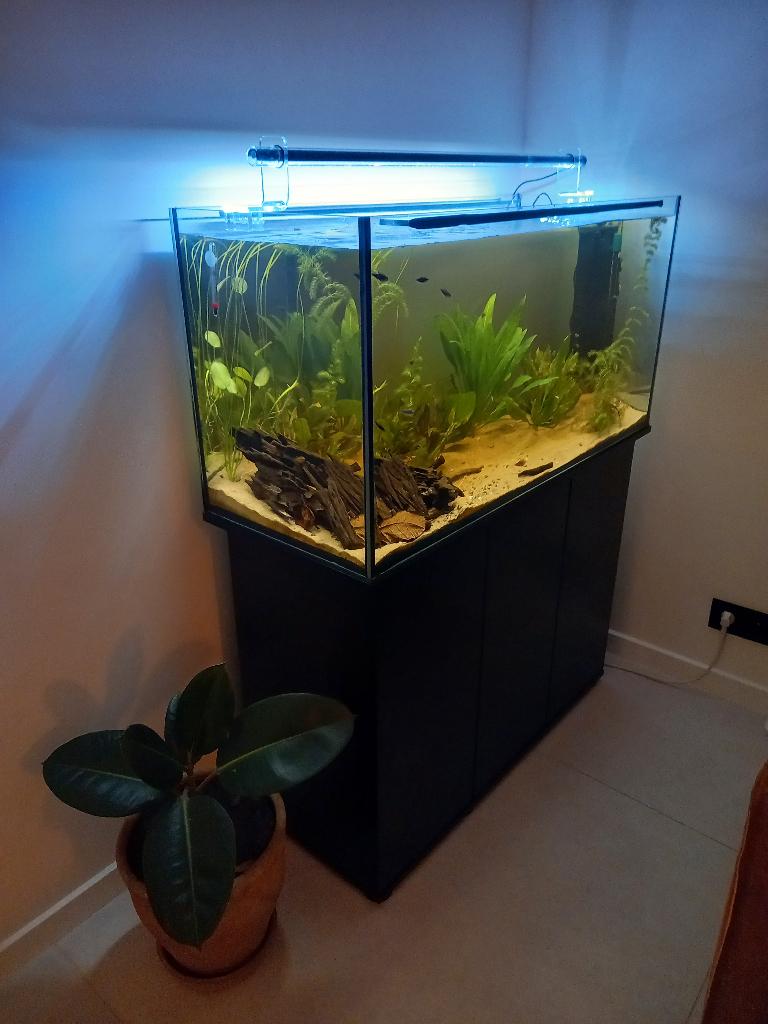 Volledige aquarium set, Aquarium vide, Comme neuf, Enlèvement, Tuyaux inclus