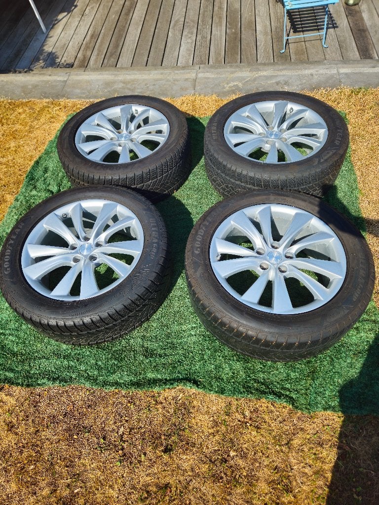Tesla velgen + 2025 Goodyear banden *PRIJS BESPREEKBAAR*, Banden en Velgen, Winterbanden, Ophalen, 19 inch