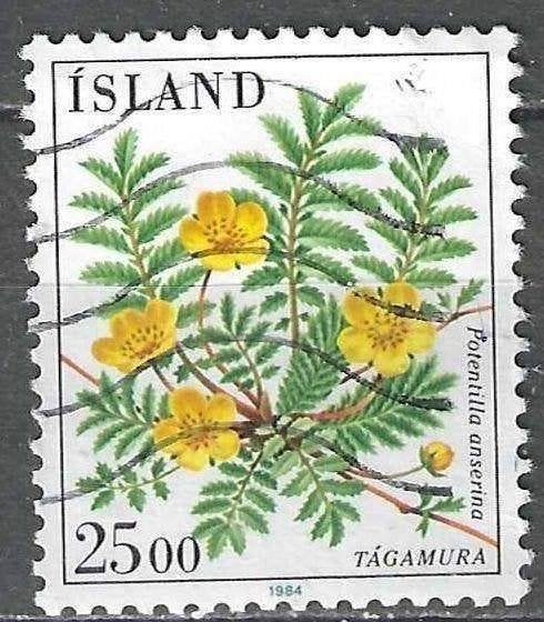 Ijsland 1984 - Yvert 566 - Zilverschoon 25 k. (ST), Verzenden, IJsland, Gestempeld