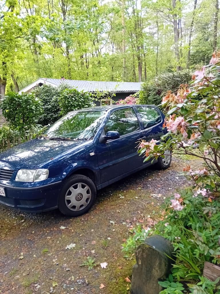 Volkswagen Polo, Autos, Particulier, Achat, Polo