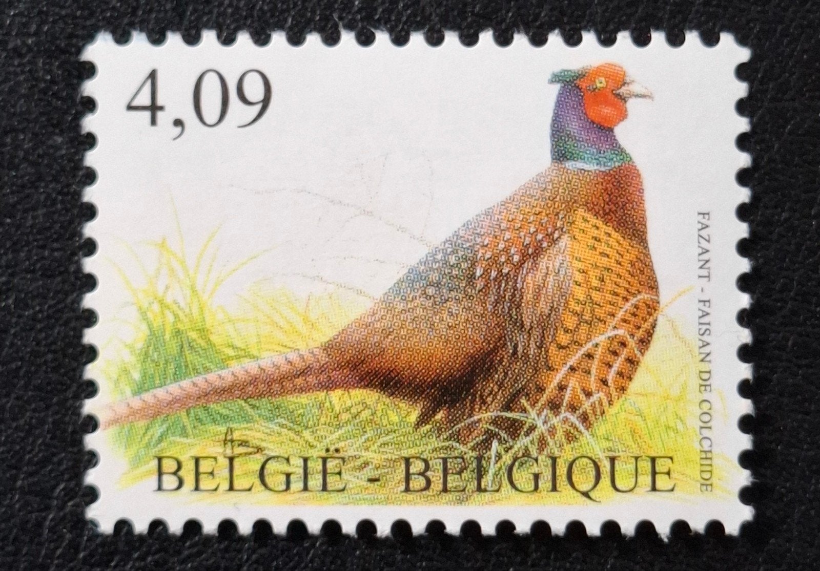 Belgique : COB 4046 ** Oiseaux 2010., Sans timbre, Neuf, Enlèvement ou Envoi, Non oblitéré