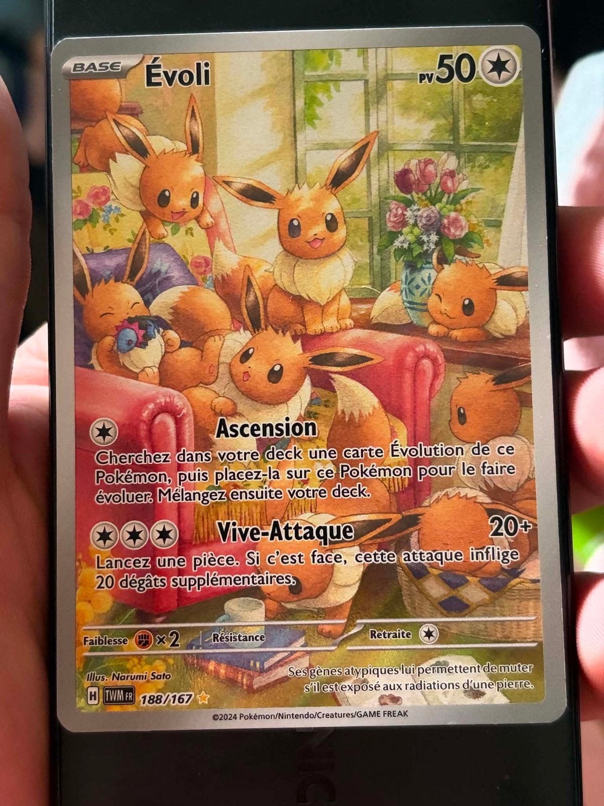 carte pokemon evoli, Hobby & Loisirs créatifs, Enlèvement ou Envoi, Neuf, Plusieurs cartes