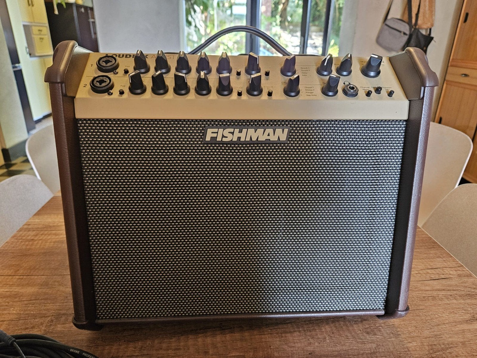 fishman loudbox 120w, Musique & Instruments, Enlèvement, Comme neuf, 100 watts ou plus