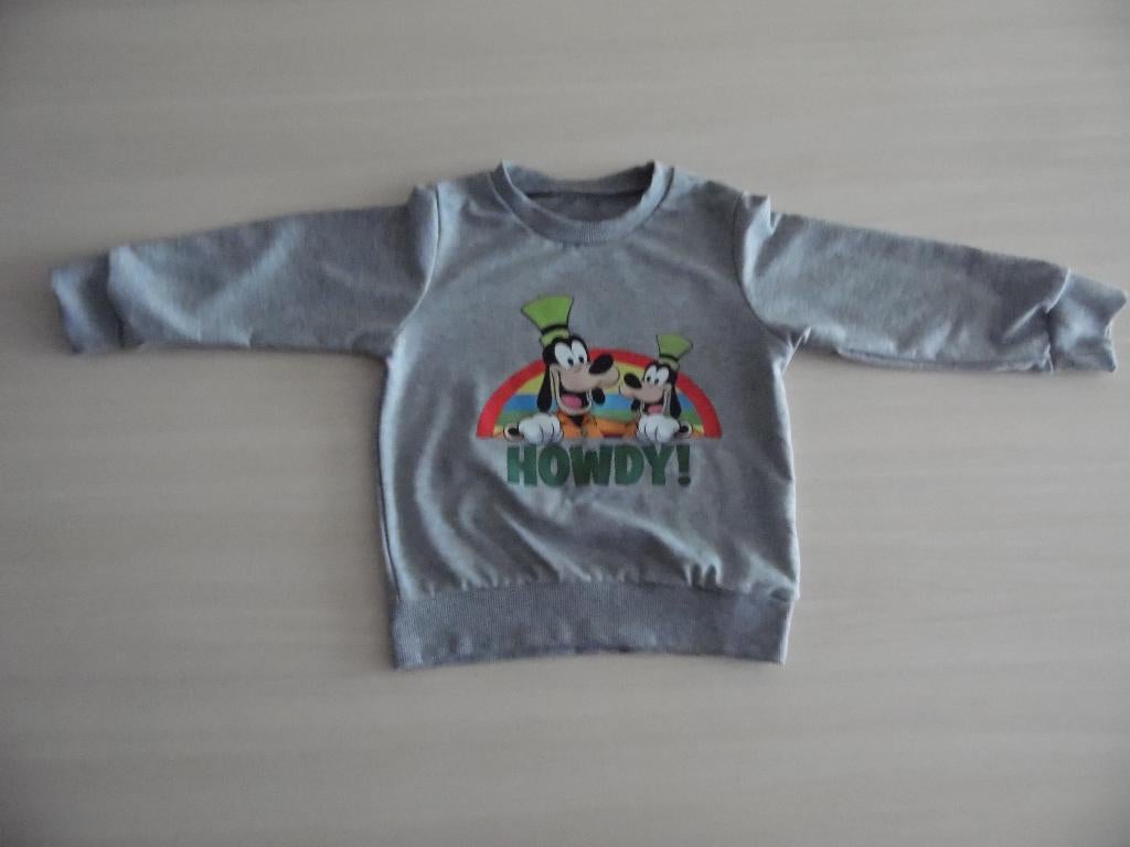 NIEUW SWEATSHIRT VAN DISNEY DINGO, Kinderen en Baby's, Kinderkleding | Maat 110, Disney, Trui of Vest, Nieuw, Ophalen of Verzenden