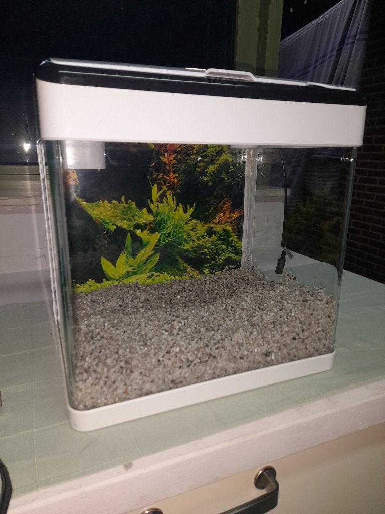 Aquarium, Ophalen, Pomp, Zo goed als nieuw