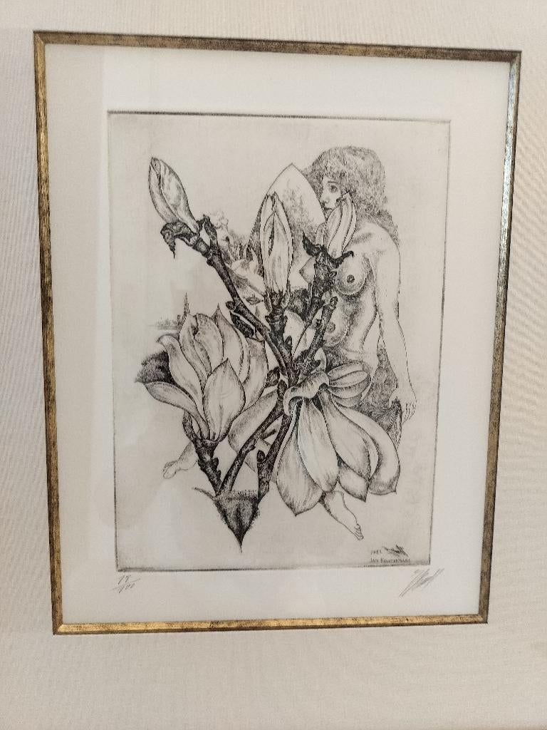 Ets Jan Keustermans, Ophalen, Ingelijst, Flora en Fauna, 52 cm
