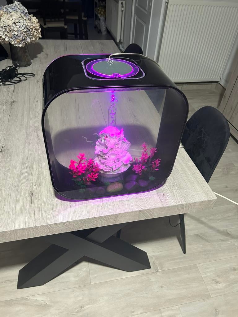 Biorb aquarium, Dieren en Toebehoren, Vissen | Aquaria en Toebehoren, Ophalen, Zo goed als nieuw